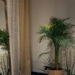 Rincón decorativo con cortinas de lino y plantas naturales en salón reformado